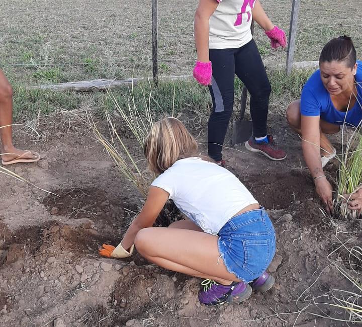 8da87af5-7f63-47ff-ad51-7092f294896c