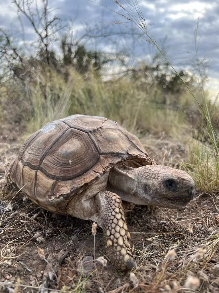 152610_img-20221118-wa0073