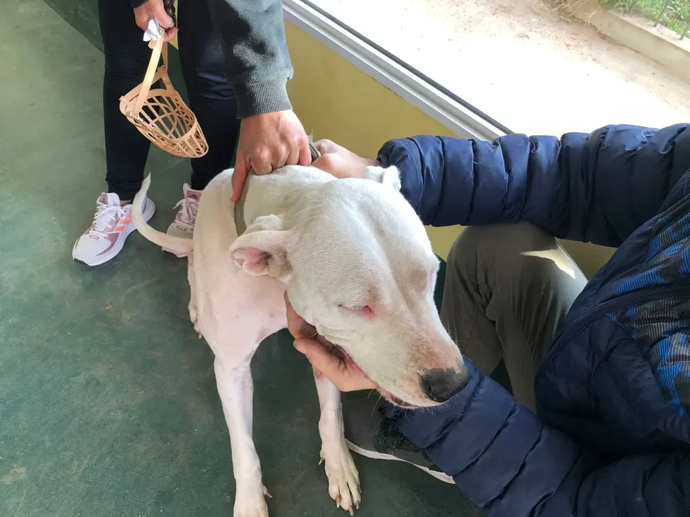 351108192_6489816641049847_821233983879943253_n