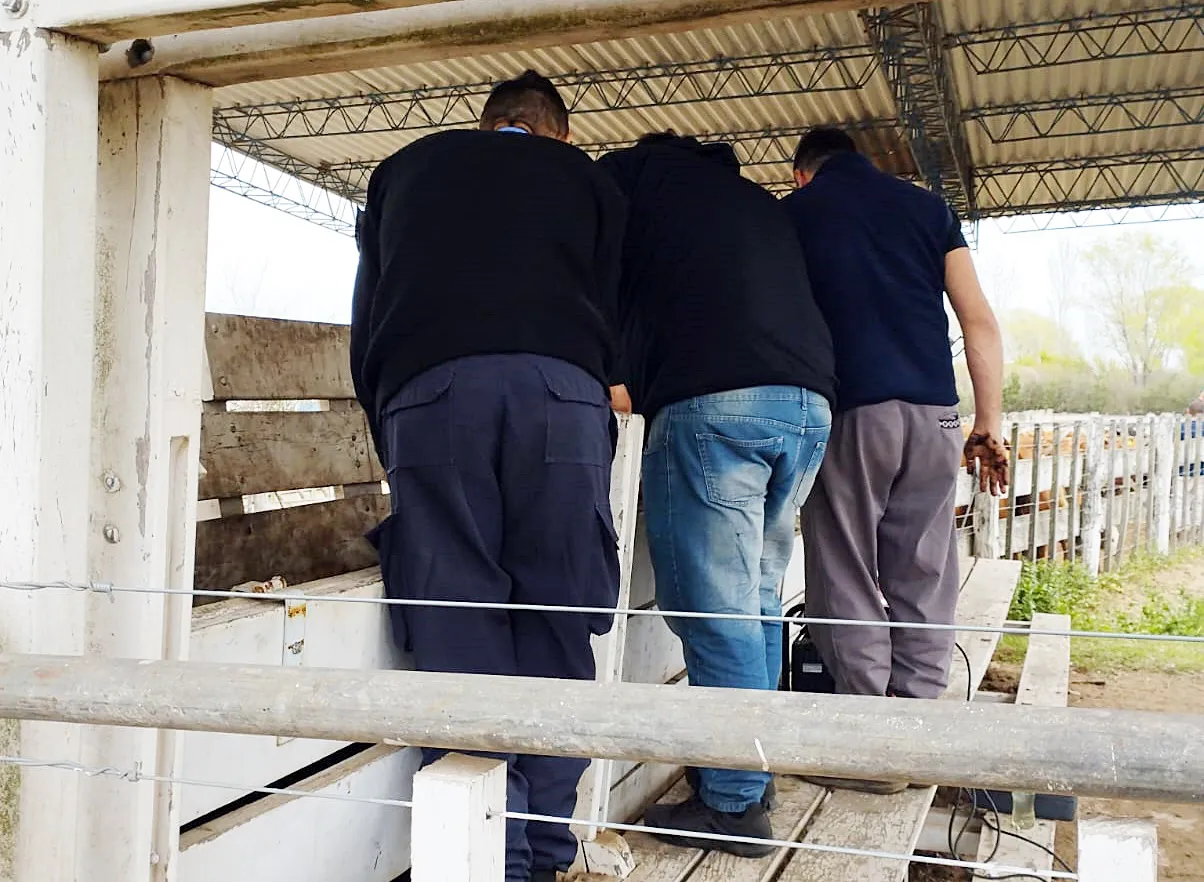 159b979e-f2c4-4577-b95b-361913ce6814