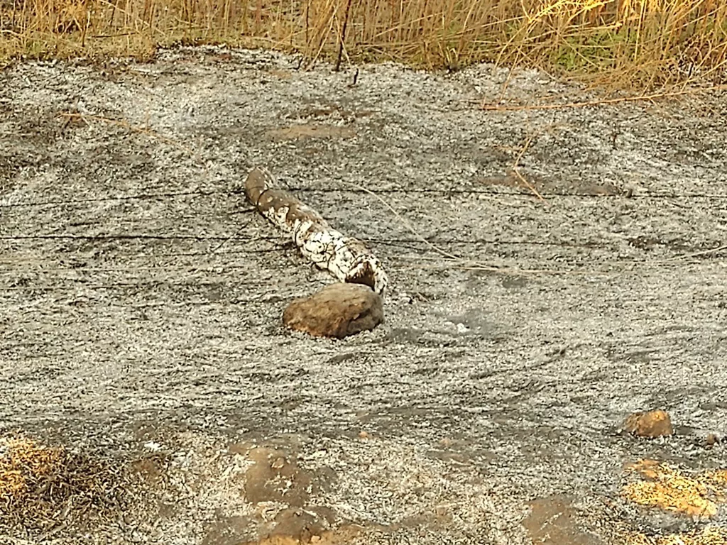 IMG_20210802_180721486 (FILEminimizer)