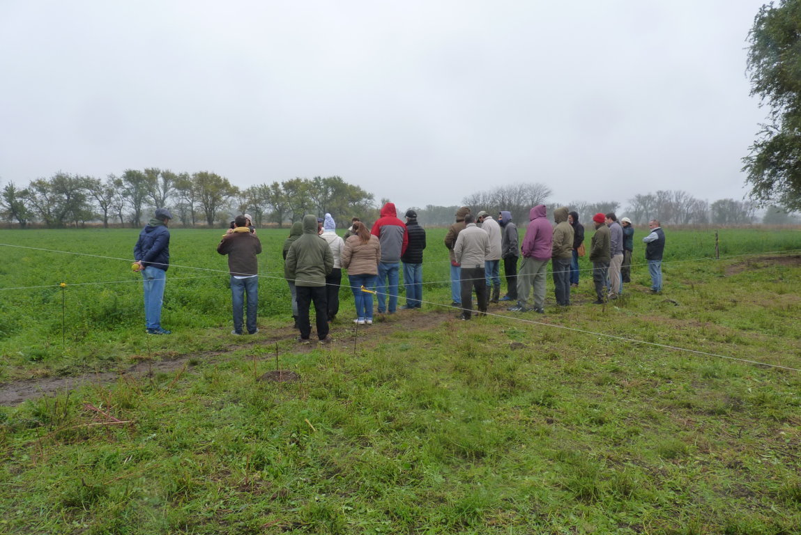 P1370481 (FILEminimizer)