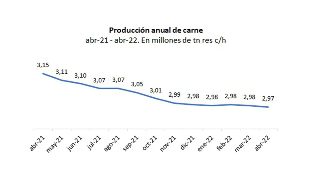 PRODUCCIÓN ANUAL DE CARNE