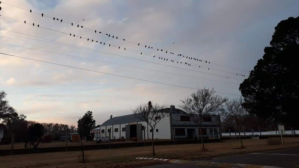 FB_IMG_1593522208037