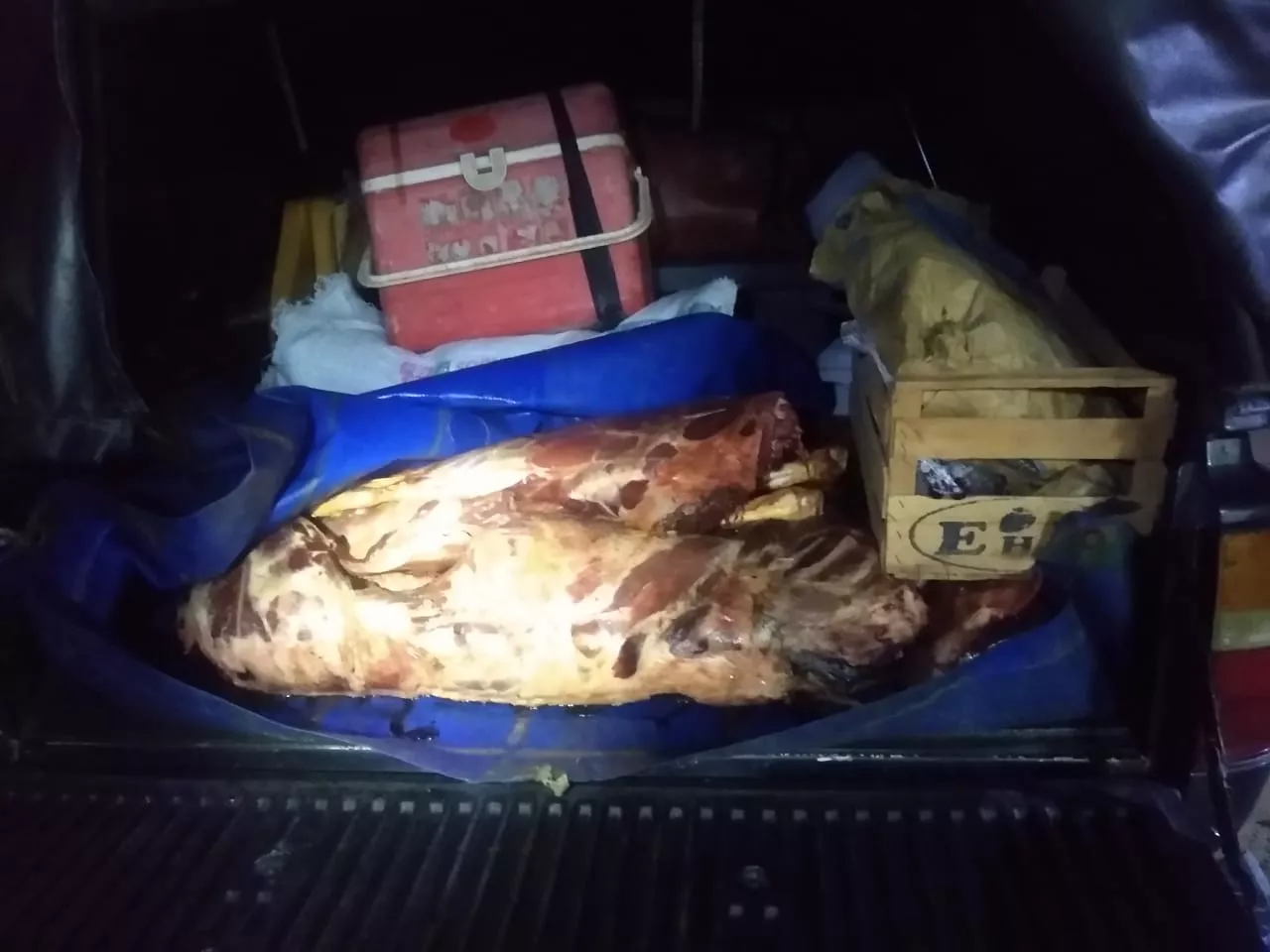 81124_whatsapp-image-2022-12-15-at-10.23.16--1-