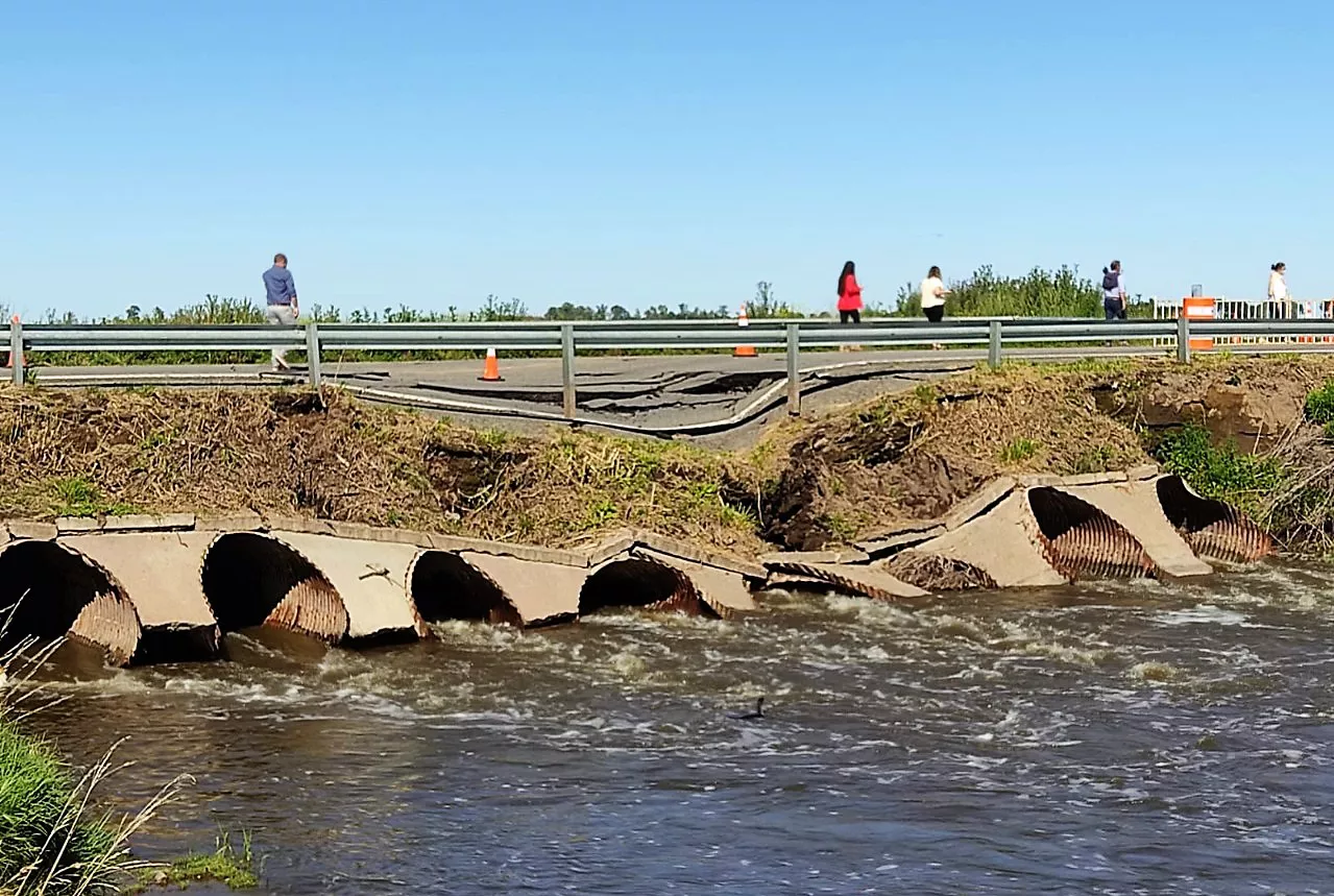 puente cuero de zorro 2