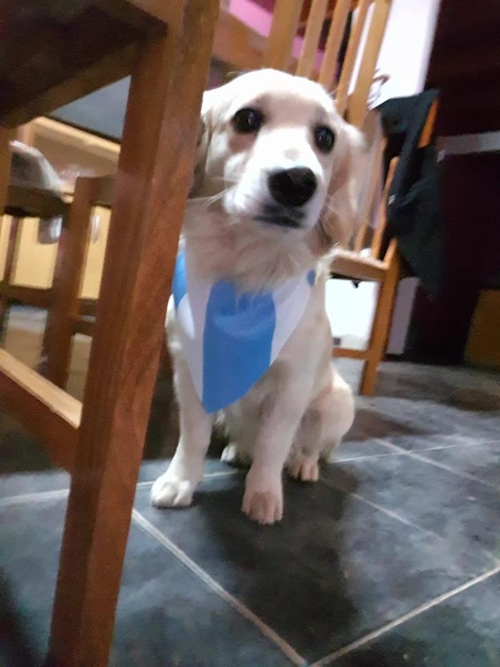 35479720_10216483718473347_7906754979111632896_n