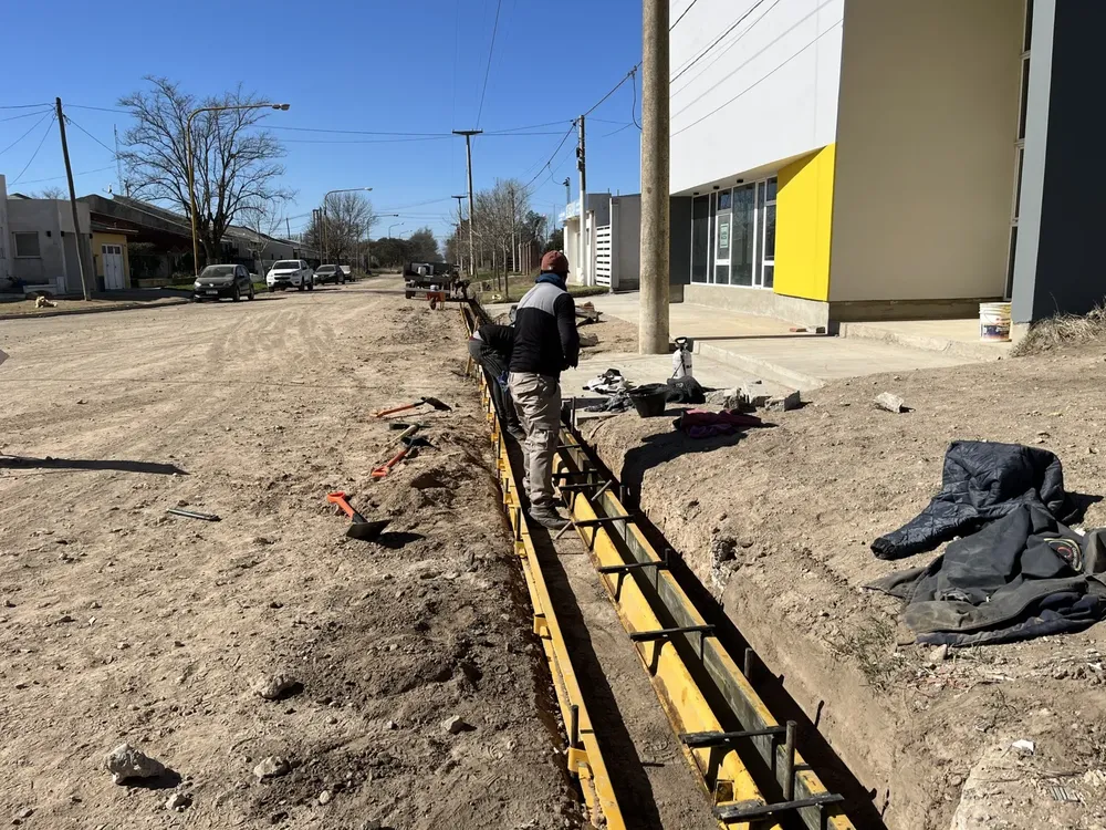 cordones realico 3 (FILEminimizer)