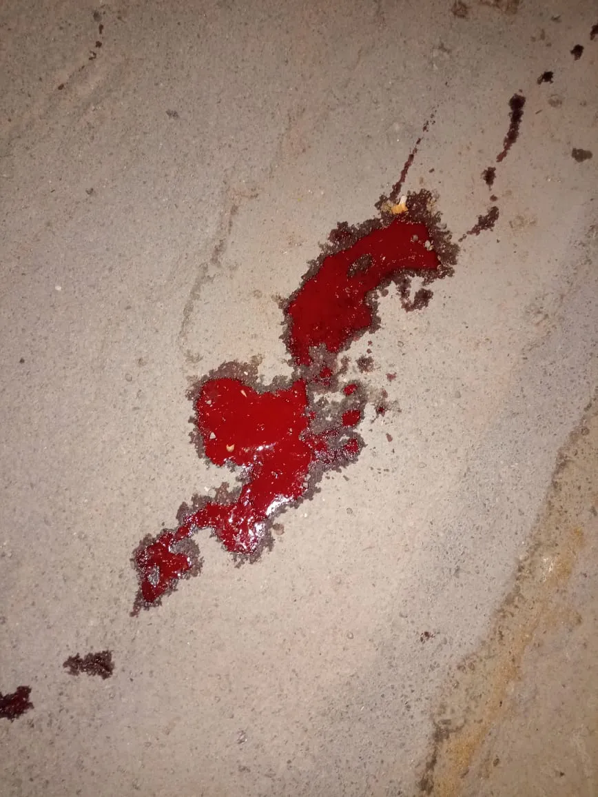 b8150cc1-0f96-406f-be77-ba8cb0c87205