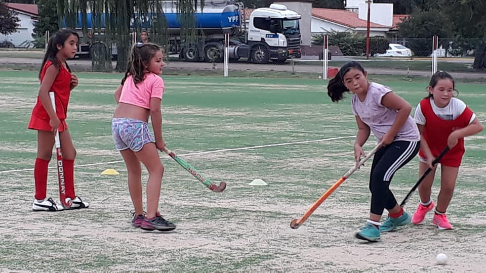 53405342_2338446006167058_3340414667049664512_n