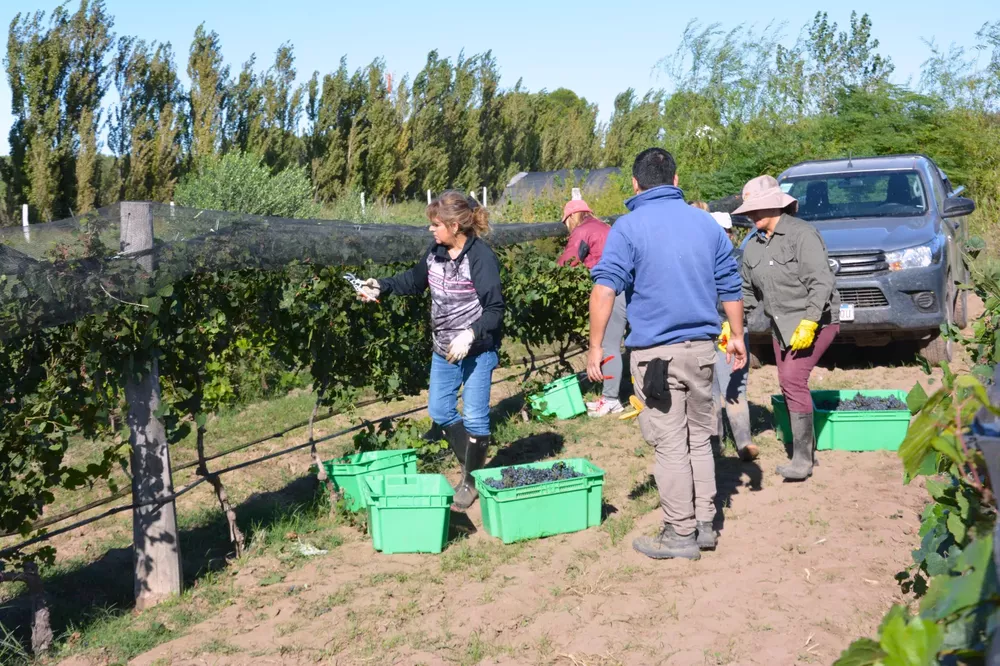 639419_whatsapp-image-2023-03-31-at-16.39.44