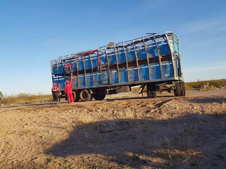 FB_IMG_1654729131526