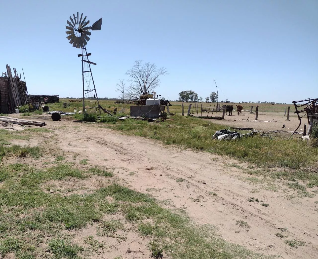 c9104977-2f45-41ab-a9bb-cfb264c331cb