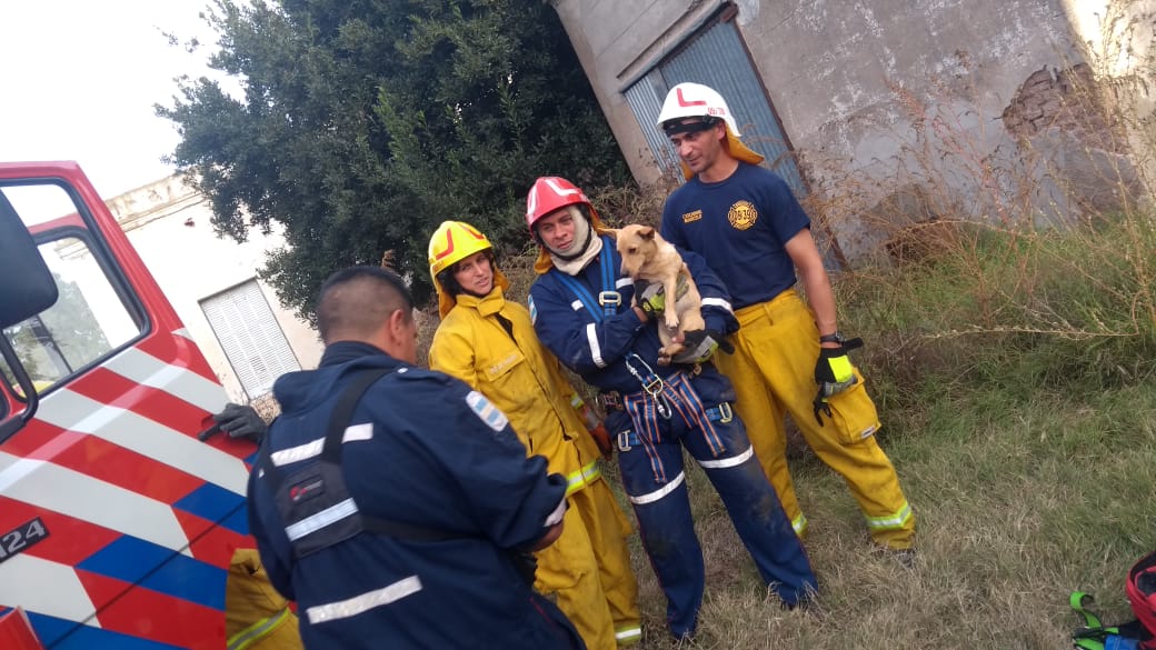 761e78b0-ec7b-4f61-99db-5428e50a51d7