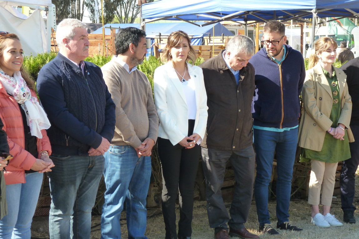 P1410697 (FILEminimizer)