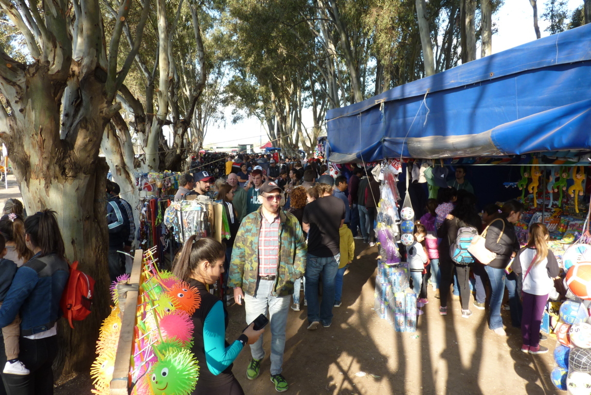 P1420047 (FILEminimizer)