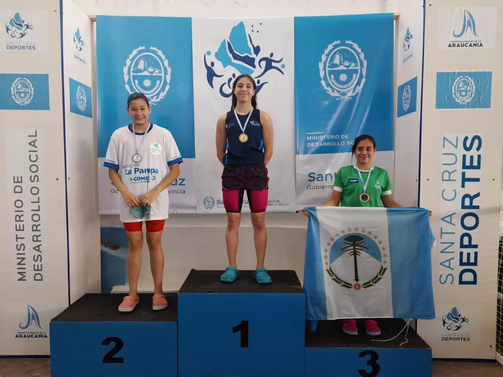 89716_araucania311212