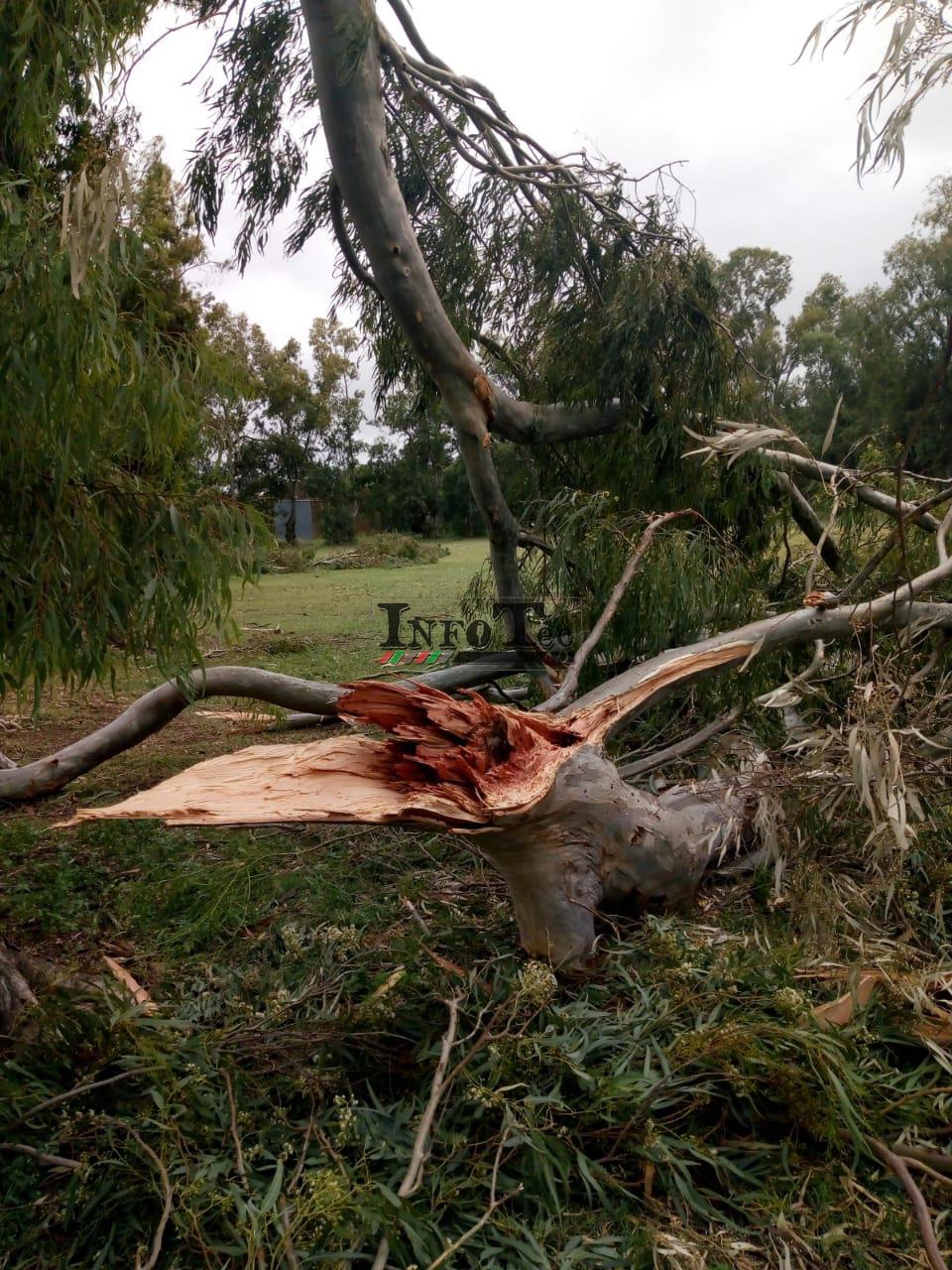 1ebcce02-bce6-4b78-a7a3-6f2735f53857