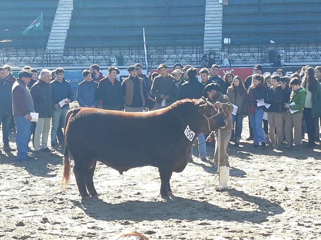 7ed04599-ff68-4db9-85e9-f015703fd8ae