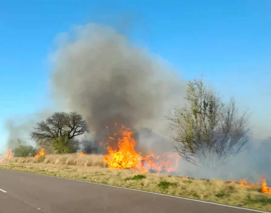 308676109_5798331623511795_7471175727440092274_n