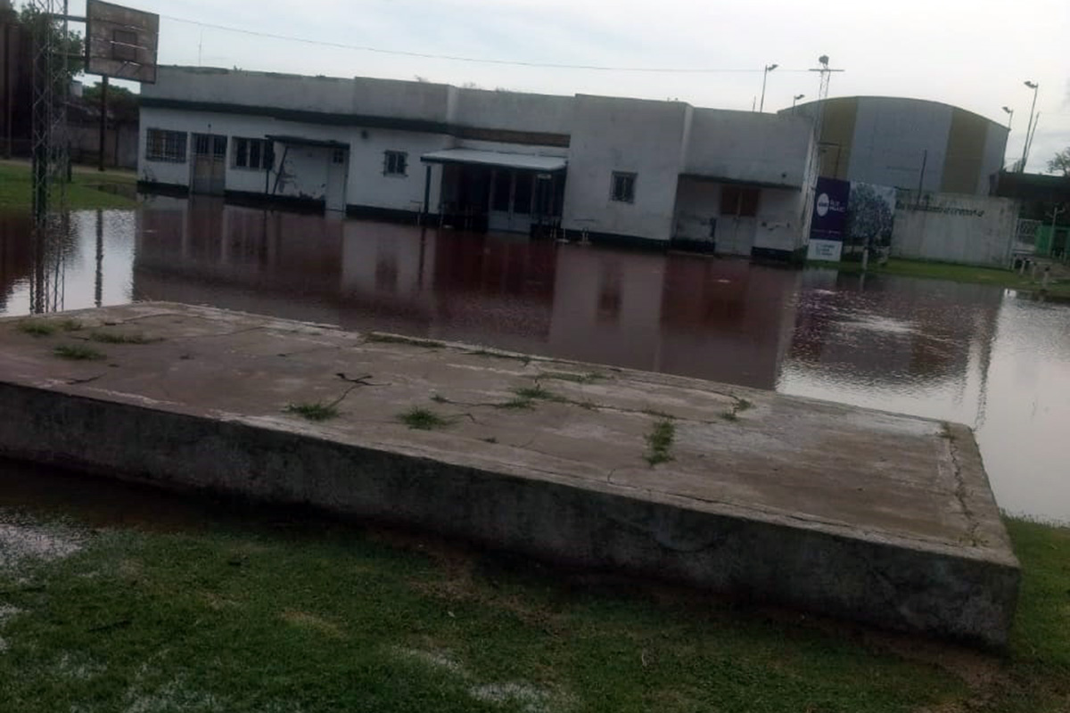 FERRO TEMPORAL 6