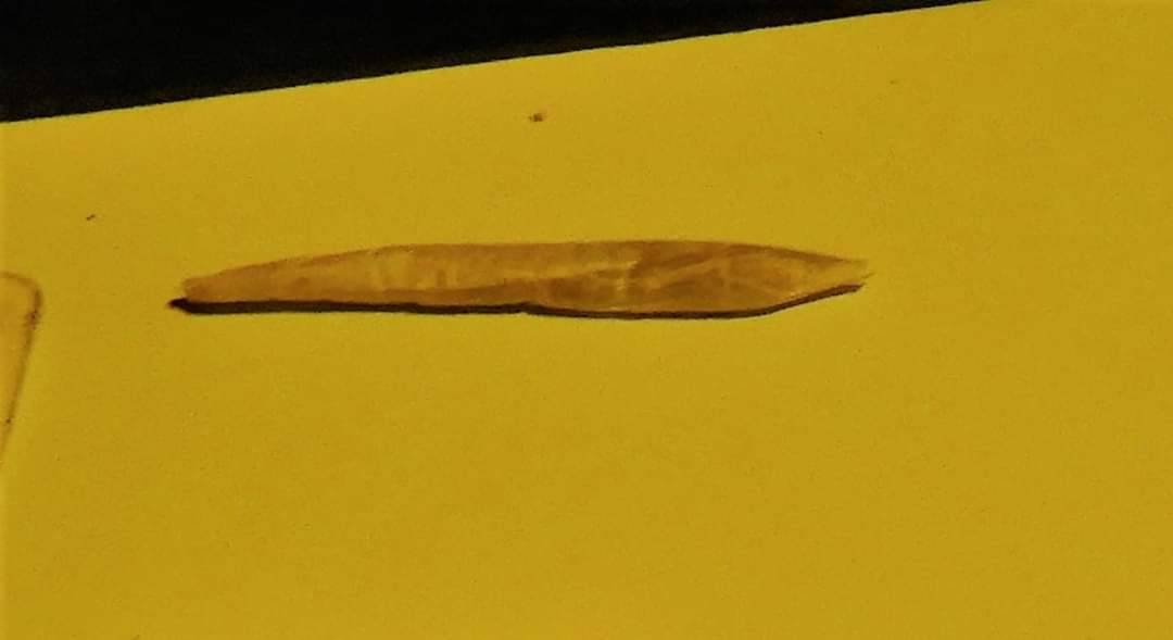 FB_IMG_1580553923331