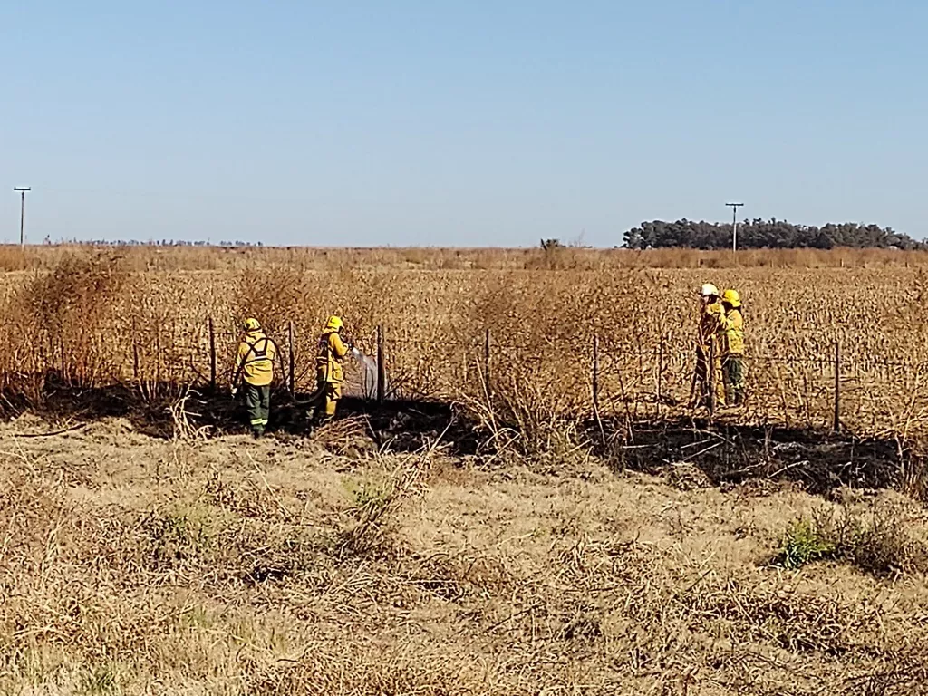 IMG_20220518_130959793 (FILEminimizer)