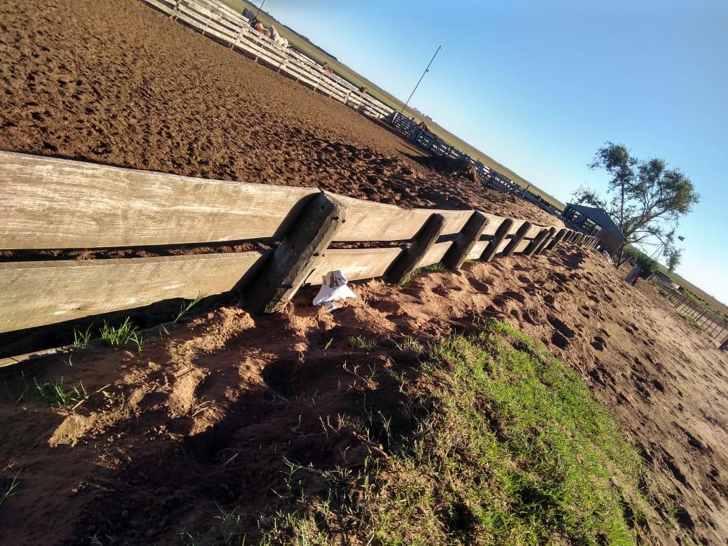 3ba918e5-a2e7-44eb-8f49-114678b0111f