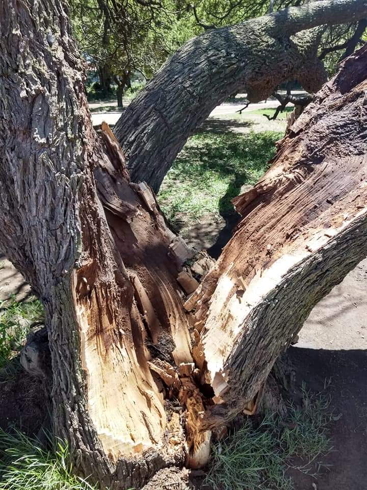 FB_IMG_1546189643604