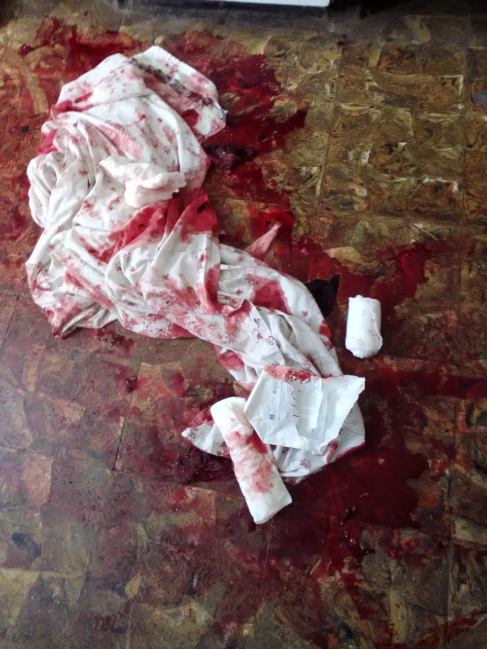 perro ataque Realicó 2