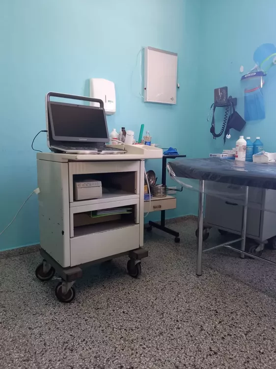 205773_whatsapp-image-2021-08-04-at-14.27.34