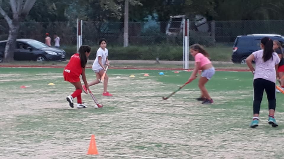 53399066_2338445792833746_7664563491277111296_n