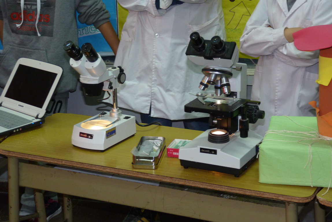 P1380491 (FILEminimizer)