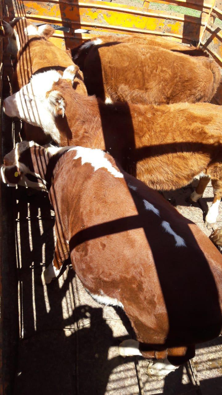 81009283-eb05-4ae8-b7e3-5b9305880a00