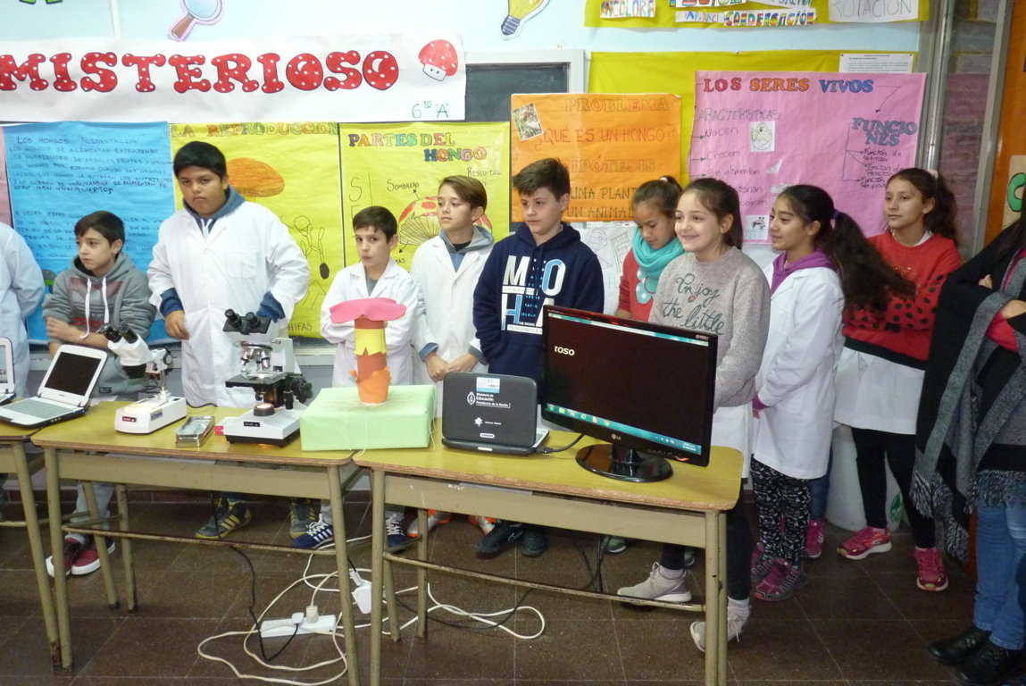 P1380488 (FILEminimizer)