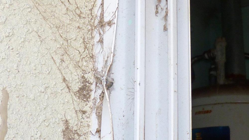 P1060314 (FILEminimizer)