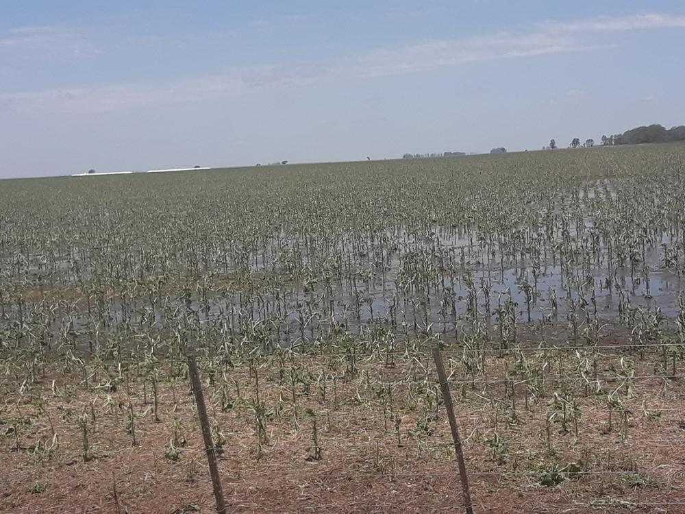 IMAGENES DE LOS DESATRES DE TORMENTA 021