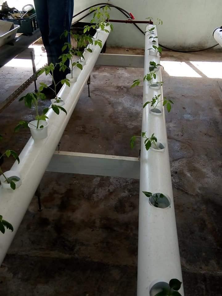 PRODUCTORES AGRICULTURA FAMILIAR 6