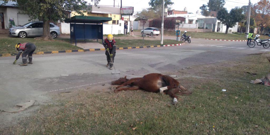 IMG-20200511-WA0014-1024x512