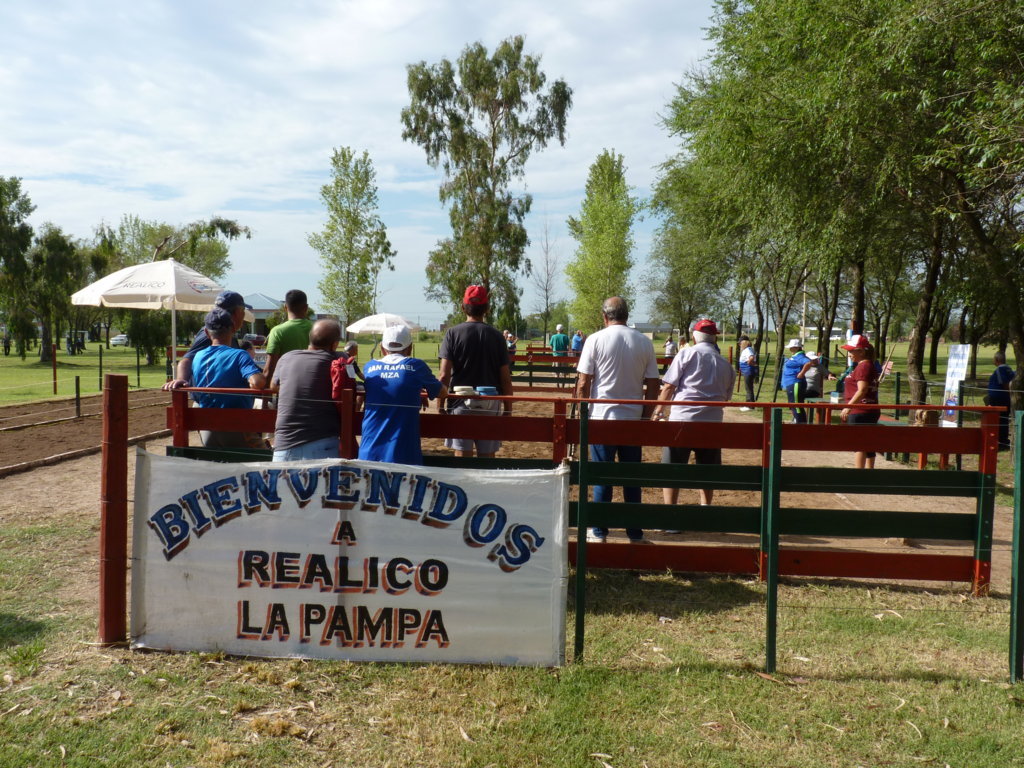 P1330373 (FILEminimizer)