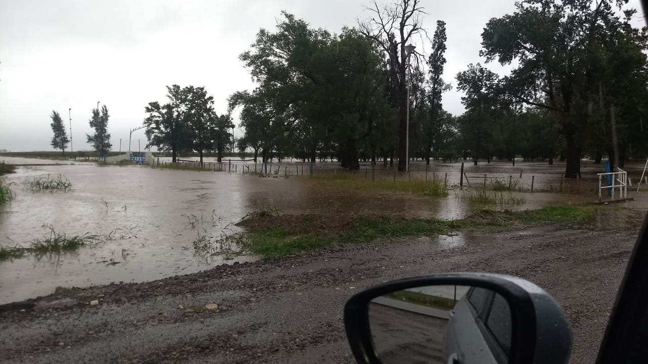 d086d043-288e-40e1-8de5-aa13cbfcf8d7