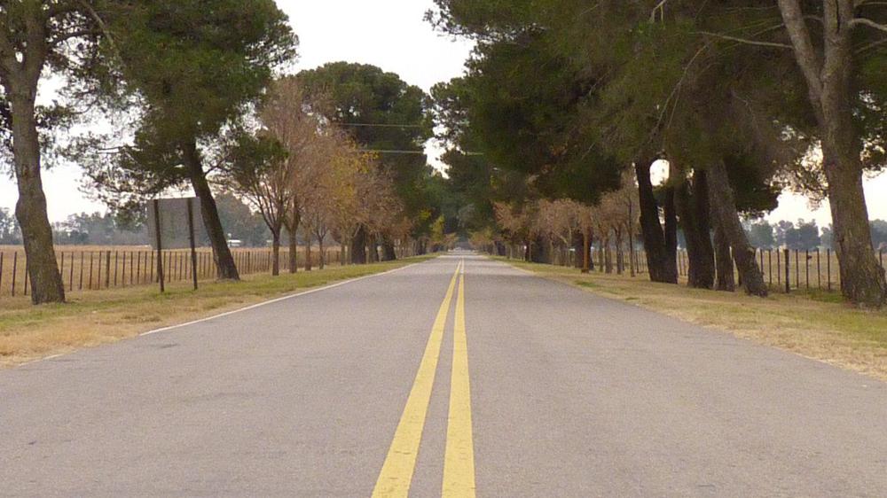 P1050316 (FILEminimizer)