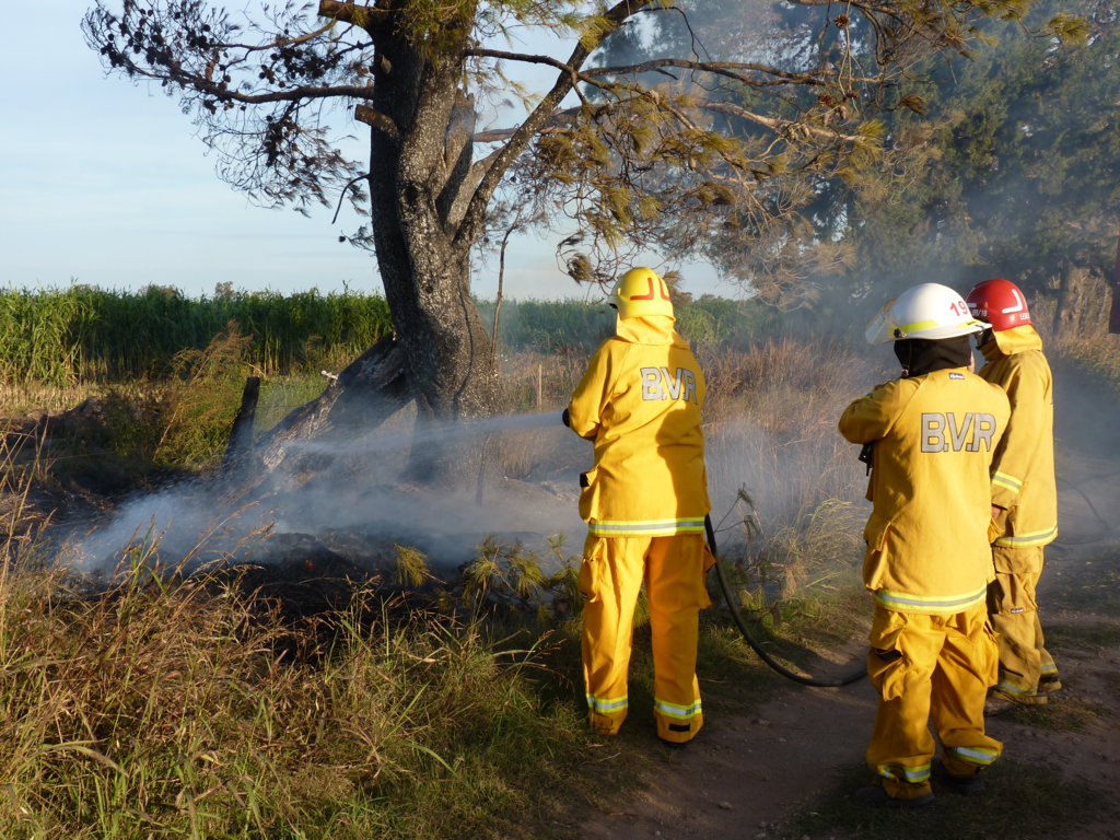 P1360688 (FILEminimizer)