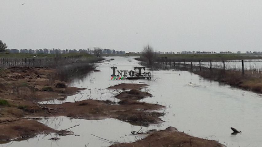 20180217_160132 (FILEminimizer)