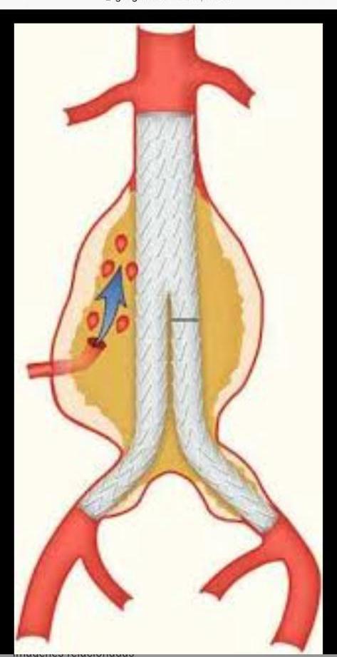 769e2cd7-3497-41d7-b6c9-cfe8bc63e6b0