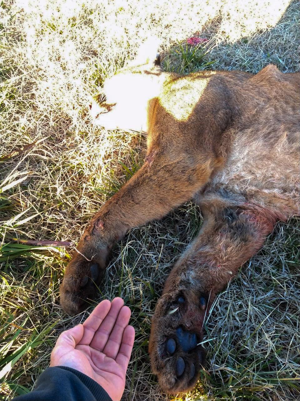 d7564c2e-3a10-42e1-a527-00f9526dacef