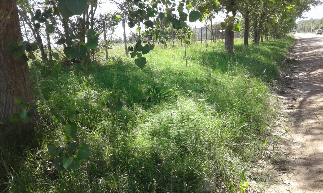 ac55ebd0-551f-4e0d-b416-210f09eaa219