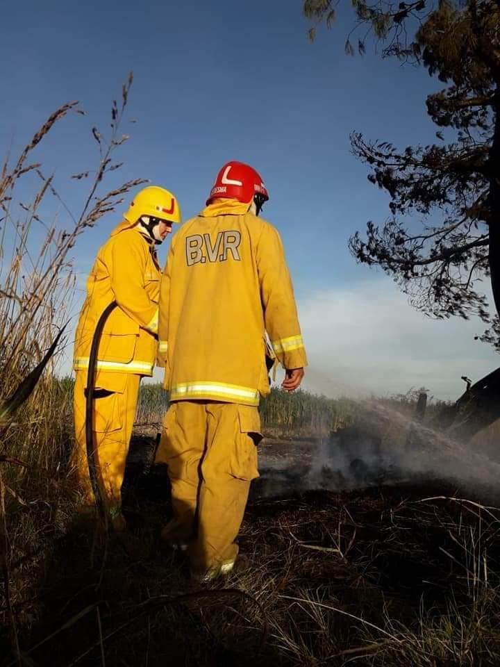 57457036_2428979813780343_4922844871330365440_n