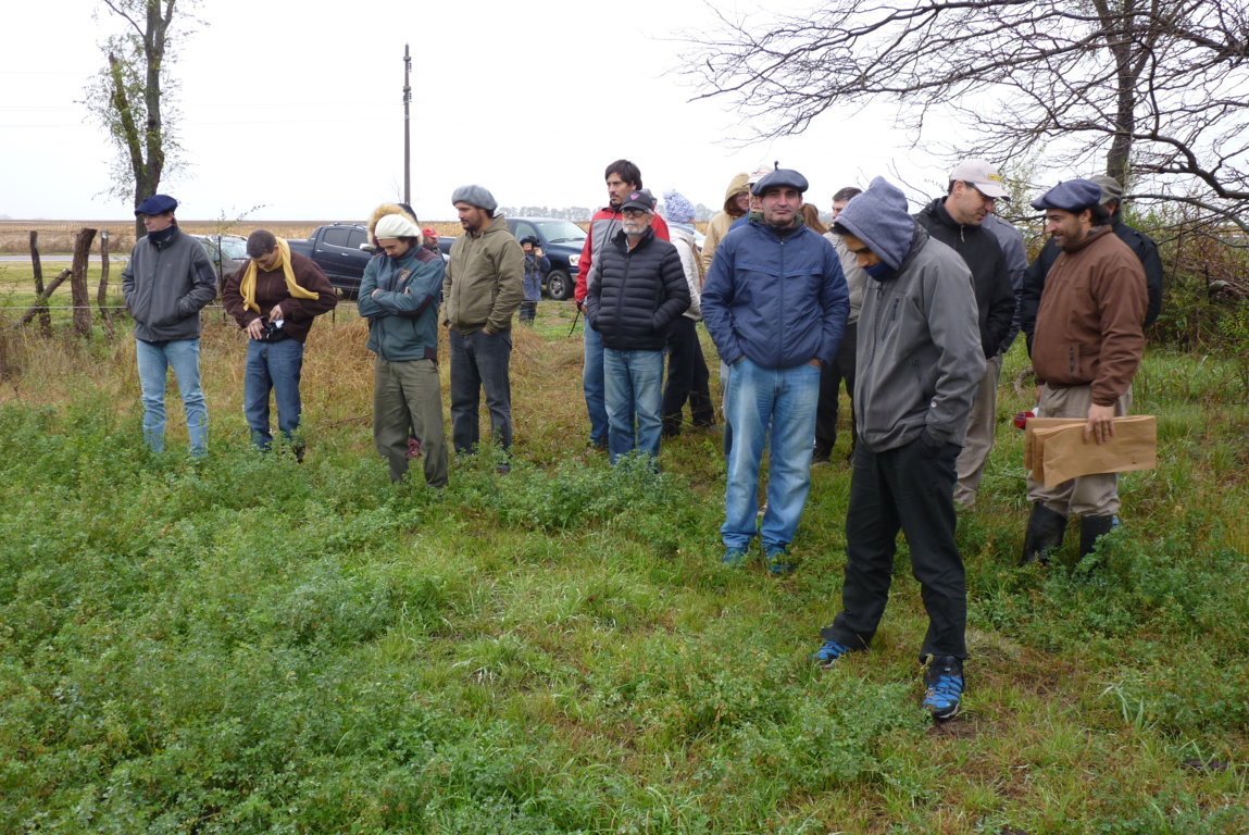 P1370468 (FILEminimizer)