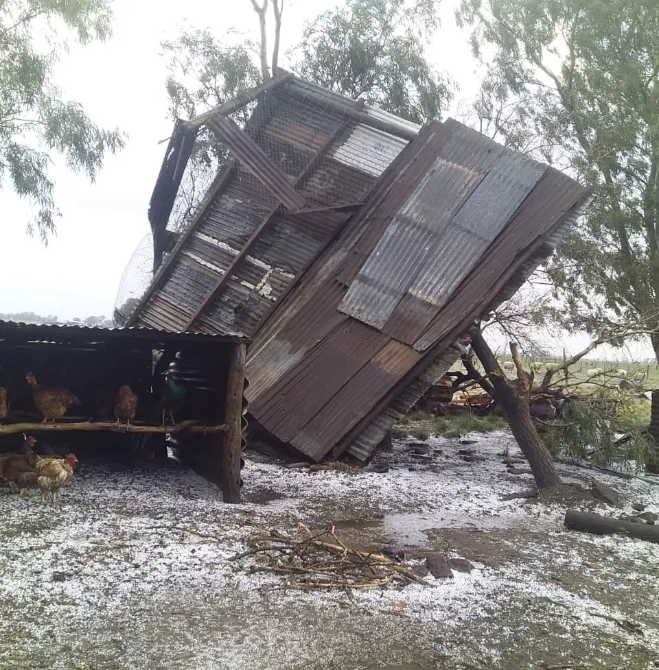 5627c375-085c-4c29-989a-b79c7d3ccf6f (FILEminimizer)